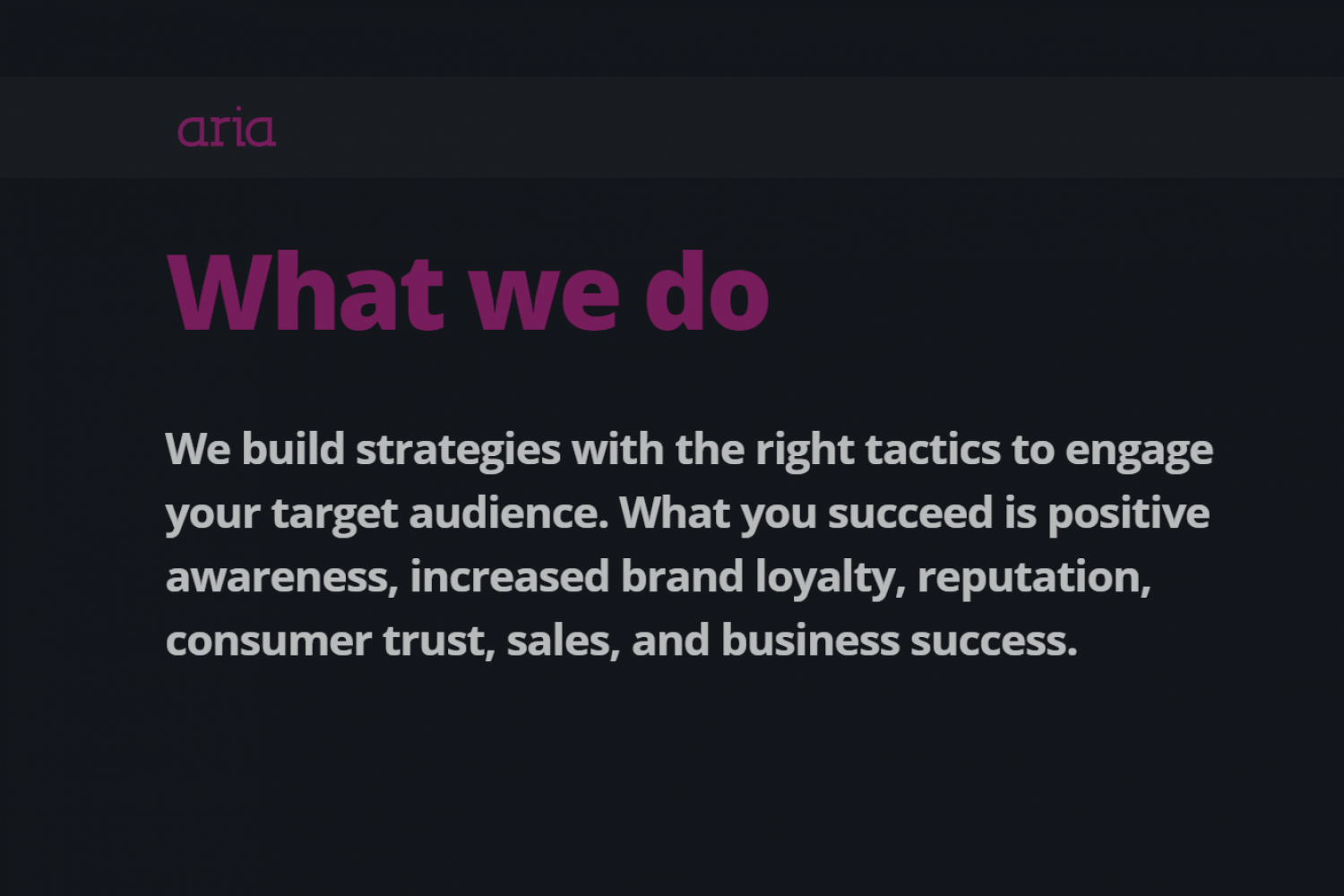 AriaPR website presentation